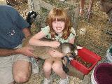 Kayla enjoying the goat experience under threat from dad.